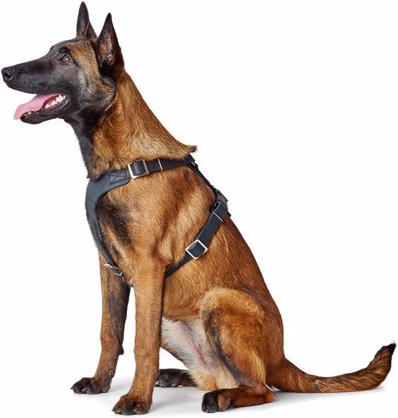 Produktbild Hunter Geschirr Aalborg (XS, Hund, Allgemein)