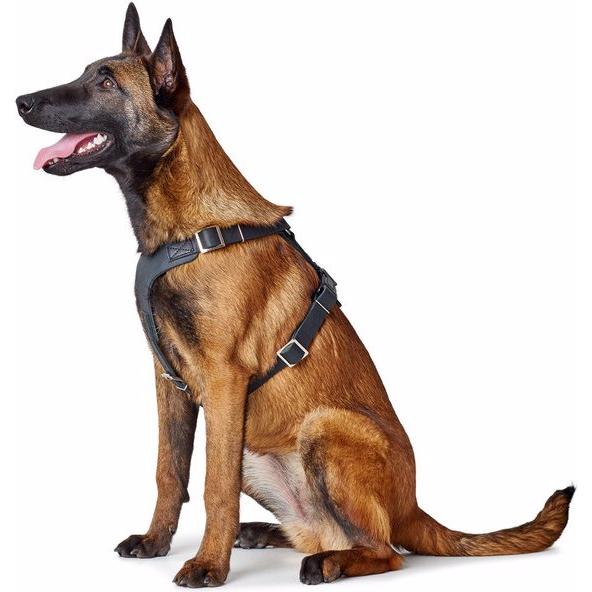Thumbnail - Hunter Geschirr Aalborg (2, Hund, Allgemein), Halsband + Leine