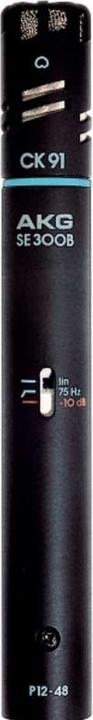 Produktbild AKG C391B