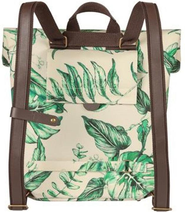 Image du produit Basil Ever-Green (14 l)