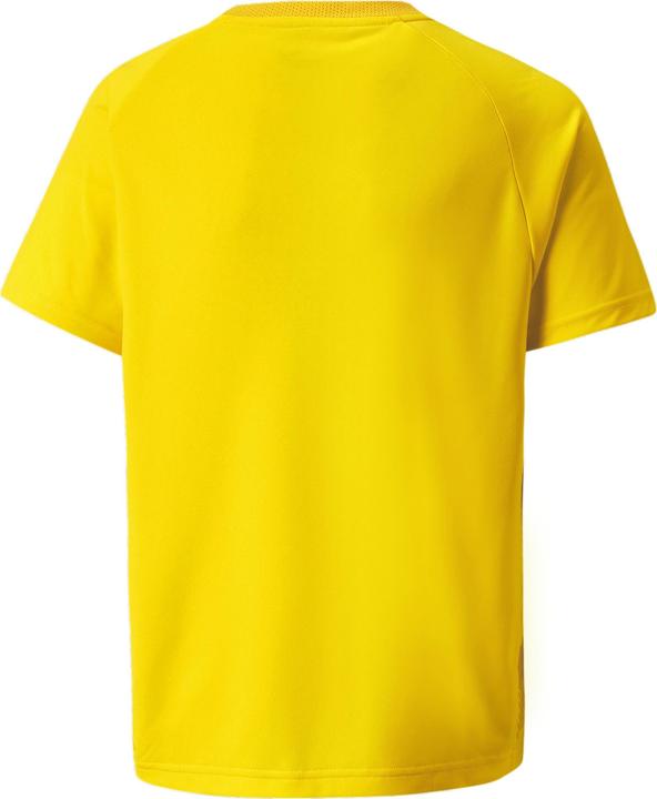 Image du produit Puma Maillot teamVISION Jr-704928 (116)