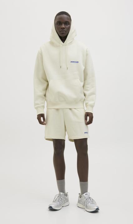 Immagine prodotto Jack & Jones Jcounion Print Sweat Hood Noos (L)