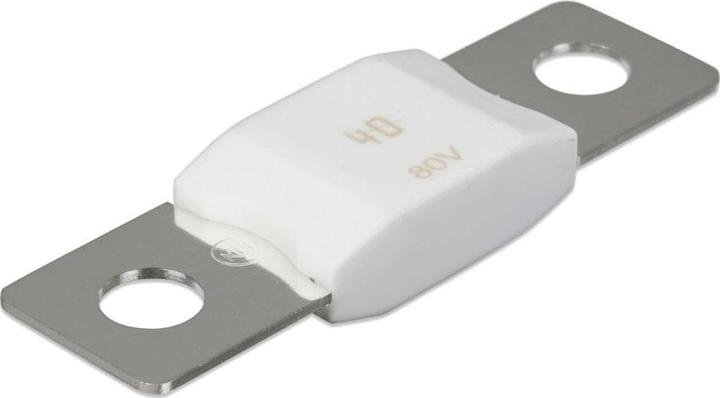 Immagine prodotto Victron Energy Confezione da 5 fusibili Mega 60A/80V