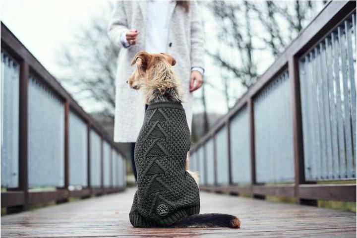 Produktbild Hunter Malmö (25, Hundepullover)