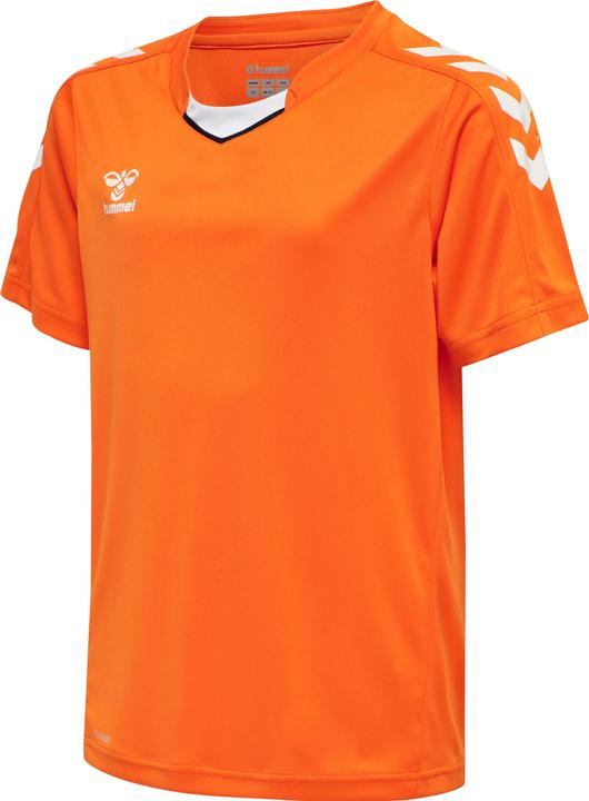 Tigre orange