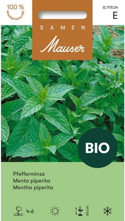 Immagine prodotto Samen Mauser Menta piperita (Semi di erbe)