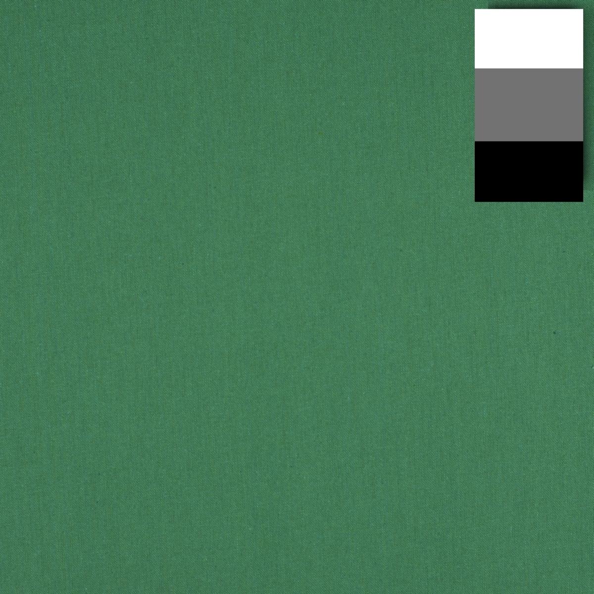 Walimex pro Stoffhintergrund (285 cm, 600 cm), Hintergrundsystem, Grün