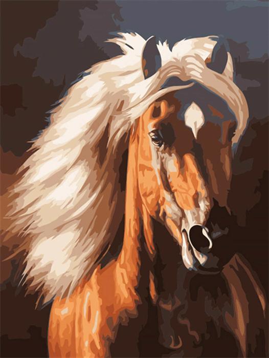 Produktbild Pracht Diamond Painting 6037-40781 Pferd 25 x 35 cm