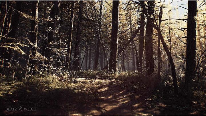 Image du produit Deep Silver Blair Witch (PS4, EN)