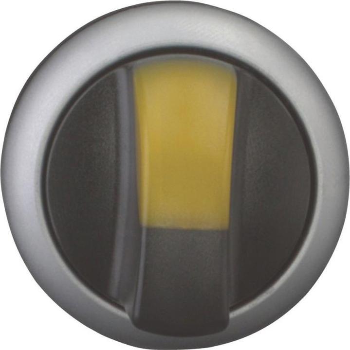 Produktbild Eaton Leuchtwahltaste, RMQ-Titan, mit 216849