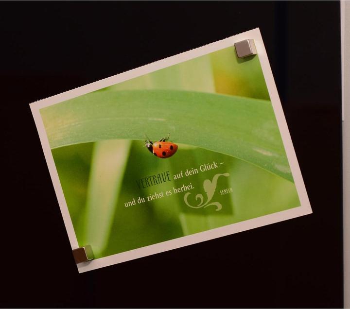 Productafbeelding Maul Kubusmagneet (4 x)