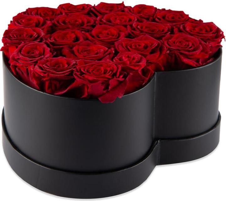 Image du produit TOP Rosenbox (14 cm)