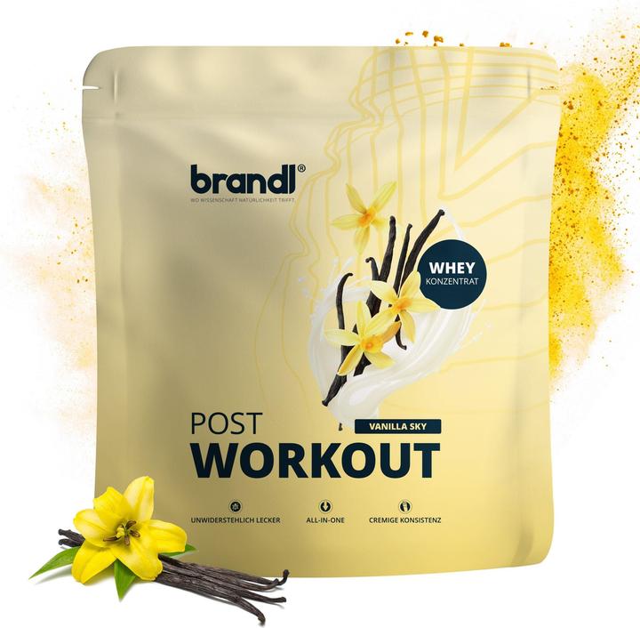 Actual product image Brandl Pulver Post Workout Vanilla 1000 g (Vanilla, 1 pcs., 1000 g)