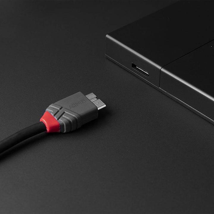Actual product image Lindy USB 3.2 Type C to Micro-B Cable, Anthra Line (0.50 m)
