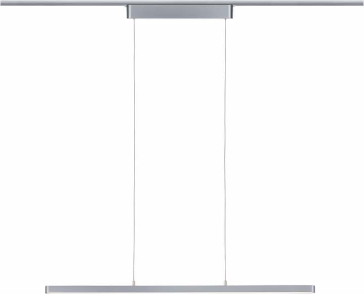 Actual product image Paulmann URail Pendant Lento (4130 lm)
