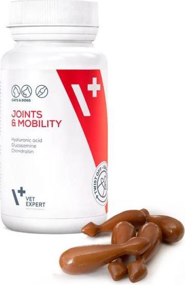 Actual product image Vet Expert Joints & Mobility (Cat, Dog)