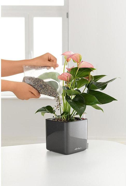 Actual product image Lechuza Cube Glossy 16 (16 cm)