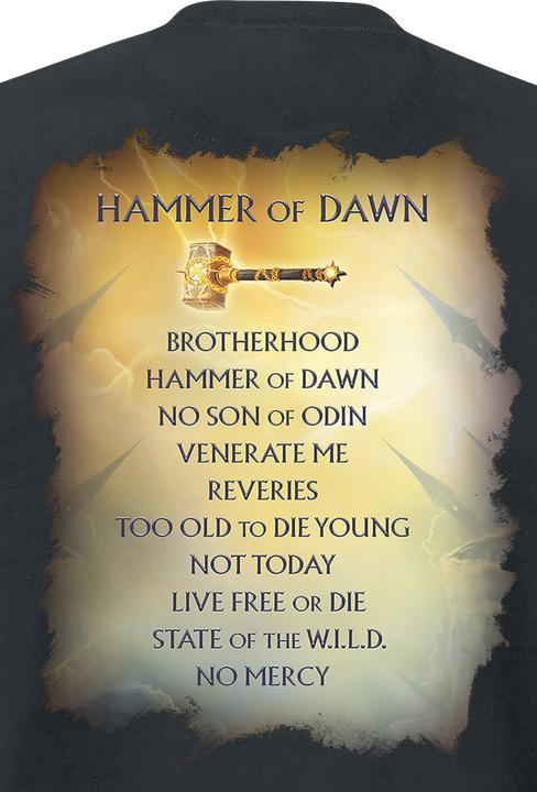 Produktbild Hammerfall Hammer of dawn (5XL)