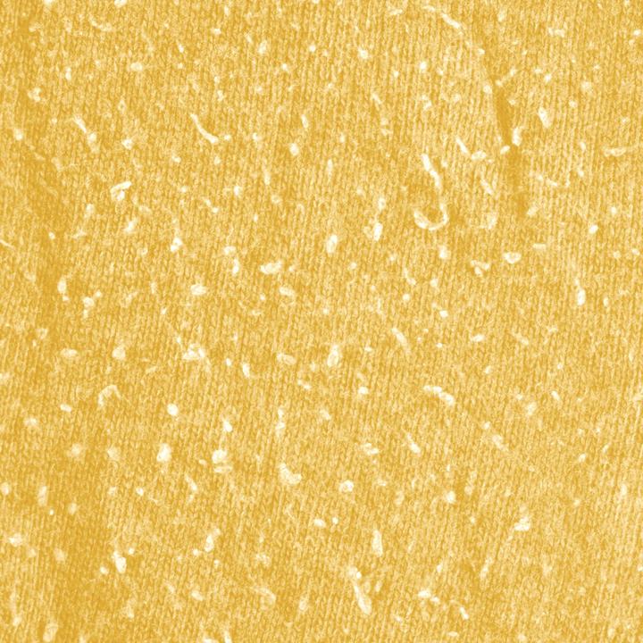 Produktbild Xavax Cut