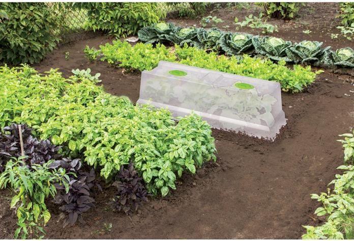 Actual product image EDA Plastiques EDA Greenhouse