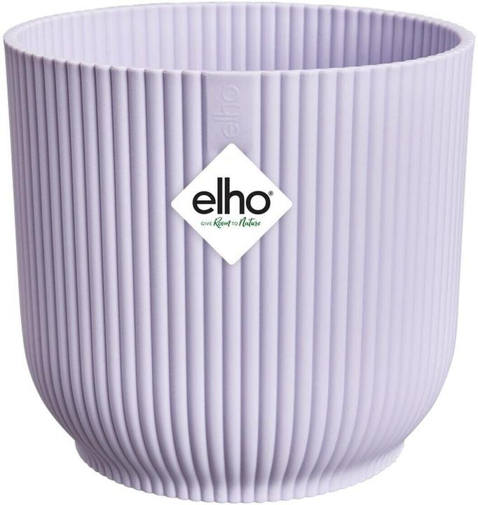 Lila, Lilac, Violett