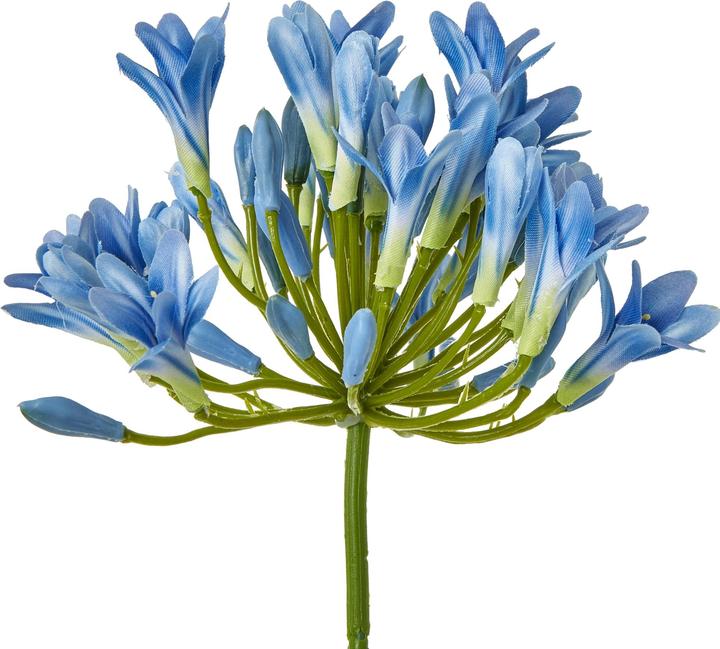 Immagine prodotto Hill Interiors Agapanto Fiore Artificiale Spray (75 cm)