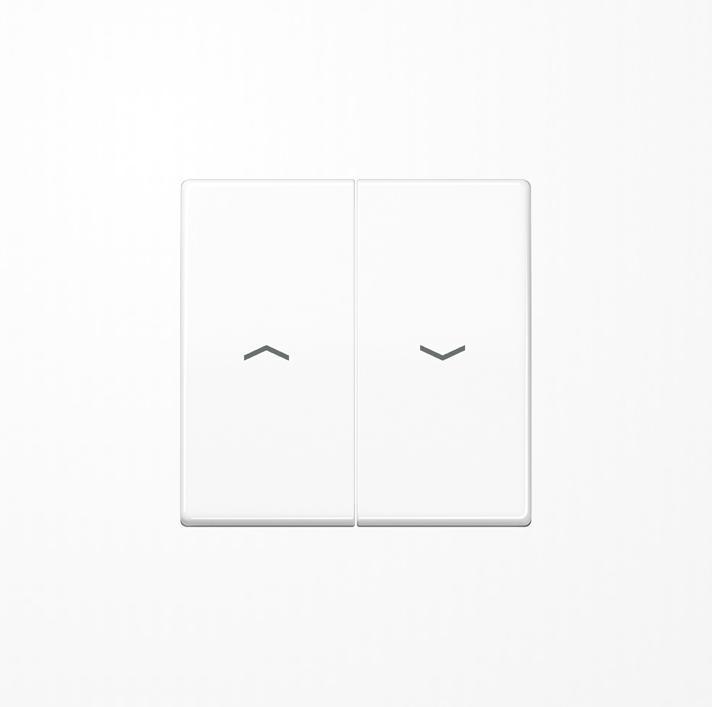 Immagine prodotto JUNG Rocker