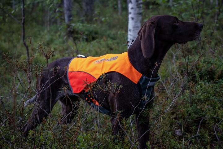 Produktbild Non-Stop Dogwear Pector Vest (L, Hundeweste)