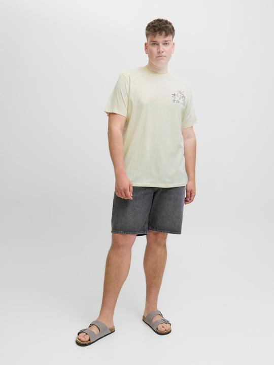 Immagine prodotto Jack & Jones Plus Size T-shirt T-shirt (4XL)