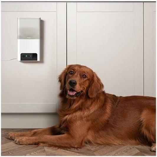 Immagine prodotto Petcube Distributore di croccantini per animali domestici con camera (1000 l)