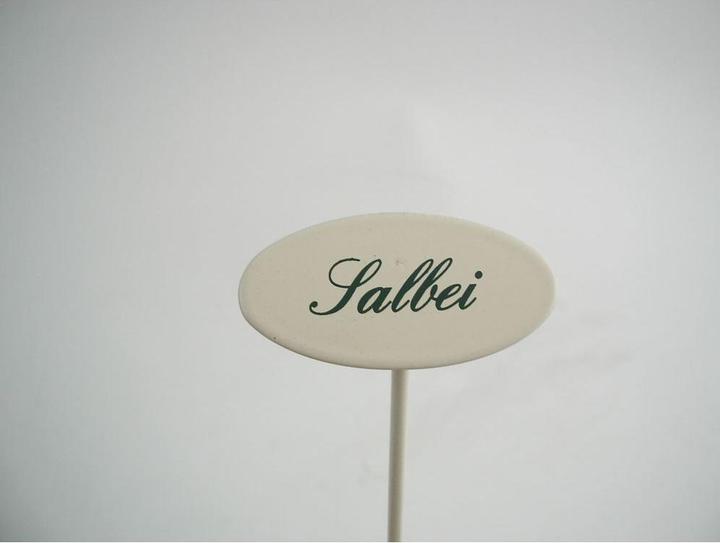 Image du produit Münder Plume d'épice sauge (20 cm, 2.40 cm)