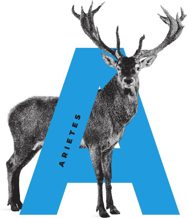 Produktbild Orsino Arietes Big5 Unisex T-Shirt – (XS)