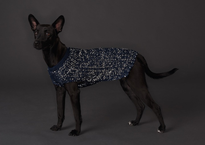 Immagine prodotto Hunter Cane maglione Finja (45, Maglione per cani)