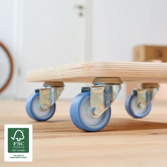 Image du produit kaiserkraft Rouleau de transport (200 kg)