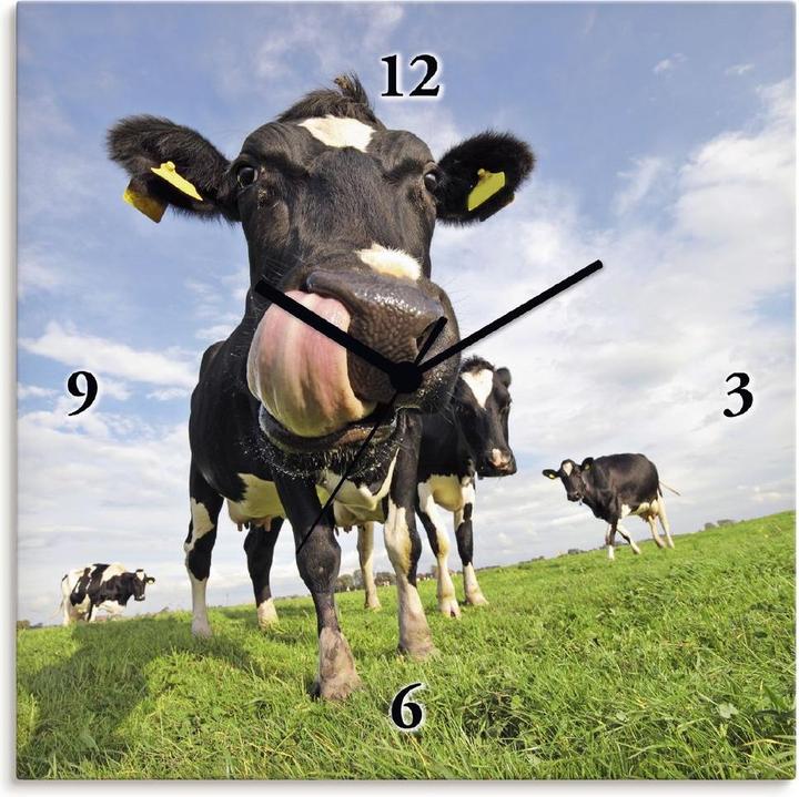 Artland Holstein-Kuh mit gewaltiger Zunge (30 cm)