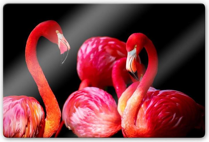 Image du produit Trenddeko Flamant rose (60 x 40 cm)