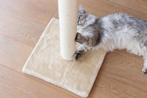 Image du produit Beeztees Gina (90 cm, Beige)