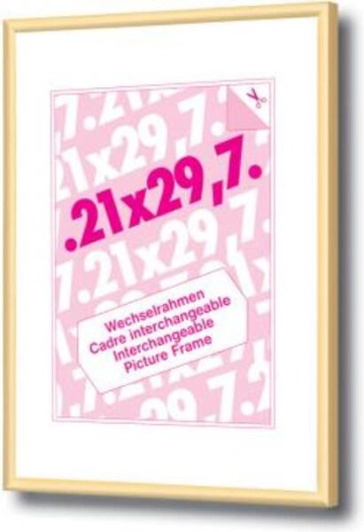 Immagine prodotto Debex Telaio intercambiabile (21 x 30 cm)