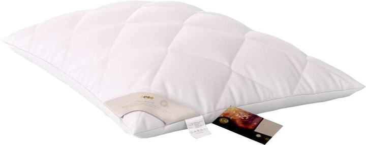 Immagine prodotto Erzstef Allergia Chemnitz (65 x 100 cm)