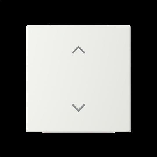 Actual product image Busch-Jaeger Rocker 1-fold