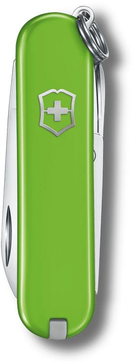 Image du produit Victorinox Cellidor