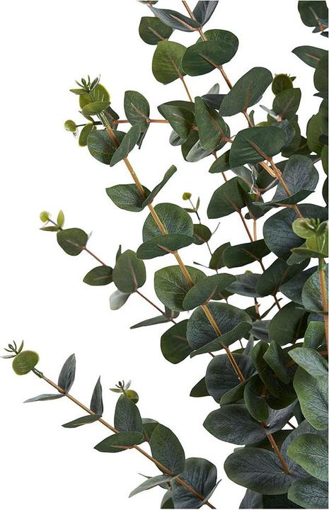 Actual product image House Nordic Eucalyptus (120 cm)