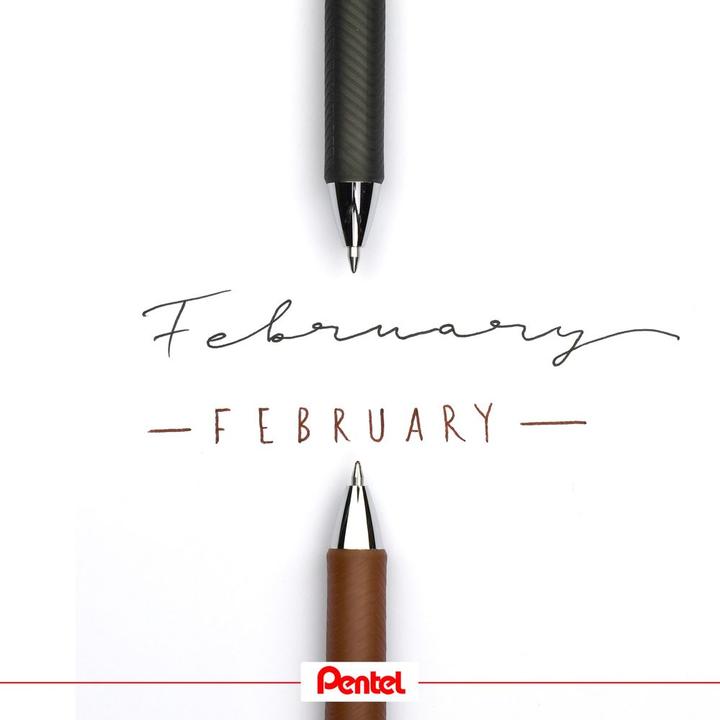 Immagine prodotto Pentel EnerGel Xm Retrattile (Marrone, 1 x)