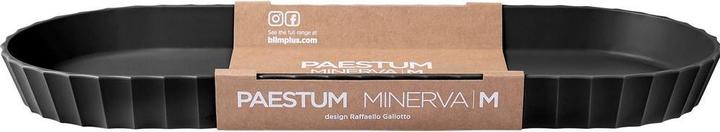 Actual product image Blim Plus Serving tray