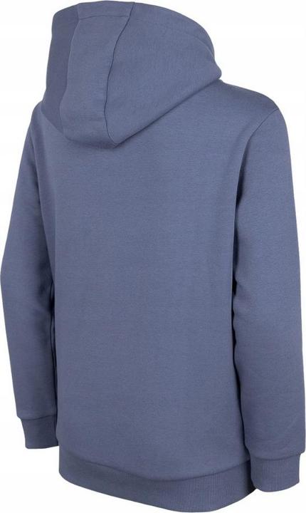 Produktbild 4F HJZ22 Kapuzenpullover (158, 164)