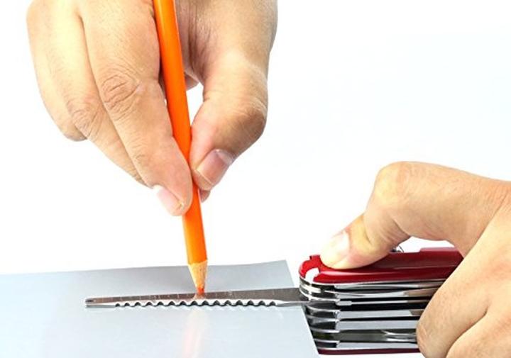 Immagine prodotto Victorinox SwissChamp