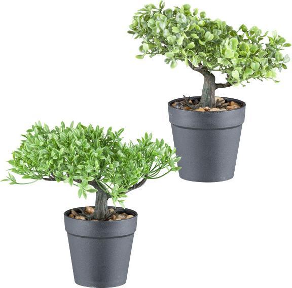 Gasper KUNSTPFLANZE BONSAI sort. - kaufen bei Galaxus - Galaxus