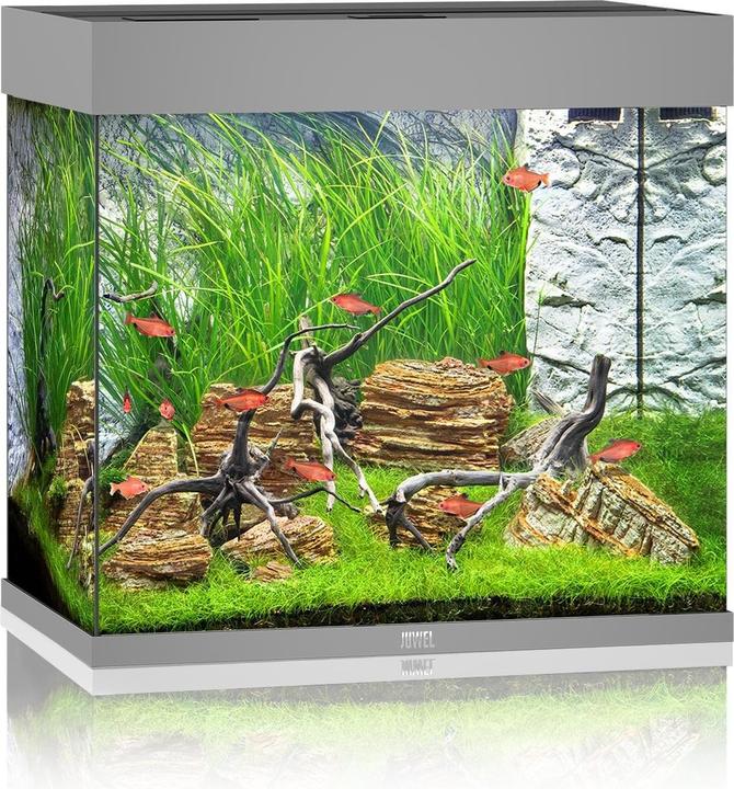 Juwel Aquarium Acquario Lido 120, 61x41x58cm, grigio (120 l)
