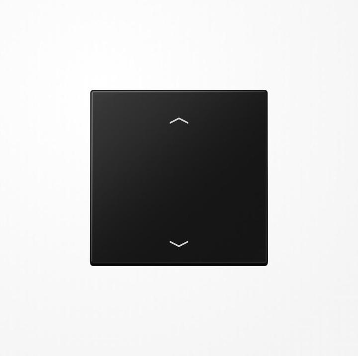 Image du produit JUNG Elément de commande 1p. sw LS avec habillage pour module de variation LS1700PSWM