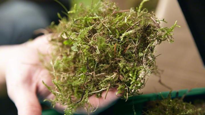 Image du produit Bosch Home & Garden UniversalRake 900